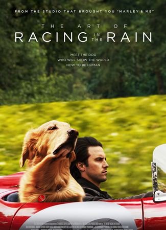 The Art of Racing in the Rain