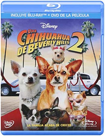 Le Chihuahua de Beverly Hills 2