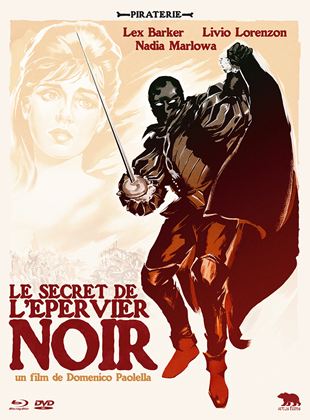 Le Secret de l'épervier noir