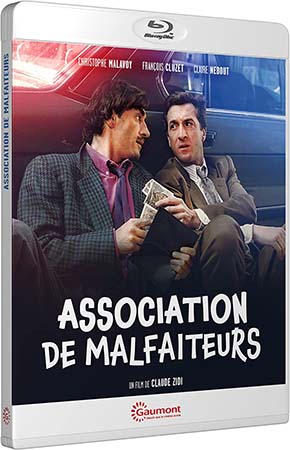 Association de malfaiteurs