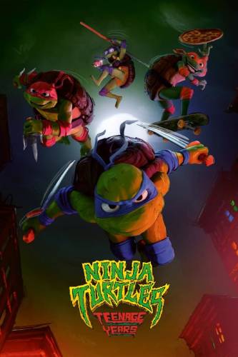 Ninja Turtles: Teenage Years