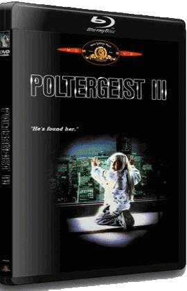 Poltergeist III