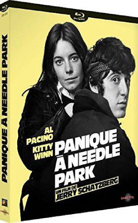 Panique à Needle Park