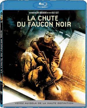 La Chute du faucon noir