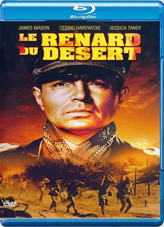 Le Renard du désert