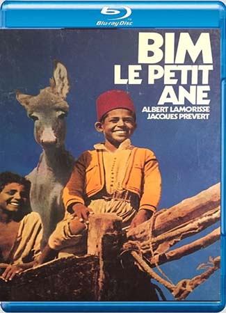 Bim, le petit âne