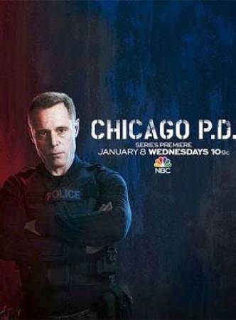 Chicago Police Department - Saison 11