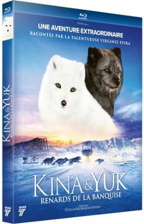 Kina et Yuk : renards de la banquise