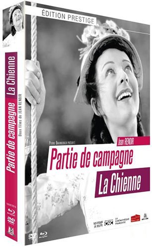 Partie de campagne