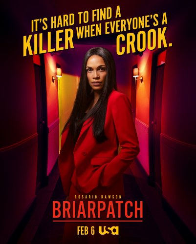 Briarpatch - Saison 1