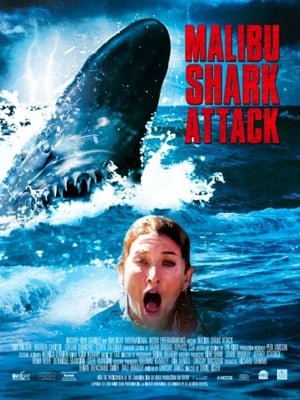 Malibu Shark Attack