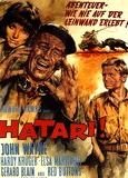 Hatari!