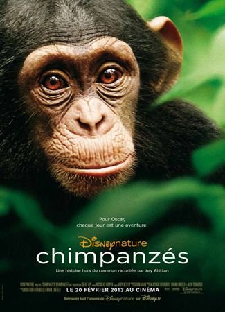 Chimpanzés