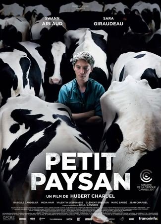 Petit Paysan