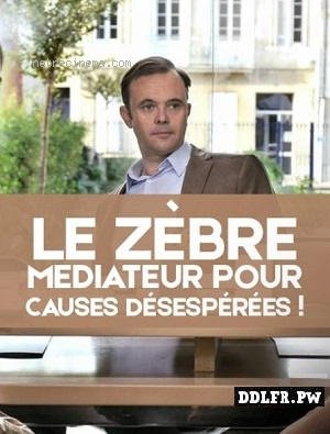 Le zèbre, médiateur pour causes désespérées !