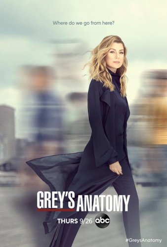 Grey's Anatomy - Saison 17