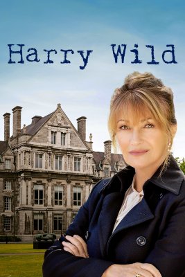 Harry Wild - Saison 1