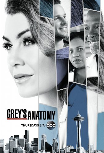 Grey's Anatomy - Saison 15