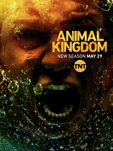 Animal Kingdom - Saison 6