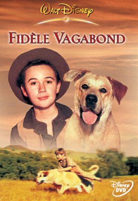 Fidèle vagabond