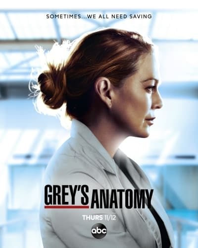 Grey's Anatomy - Saison 19