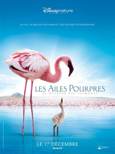 Les Ailes pourpres : le mystère des flamants