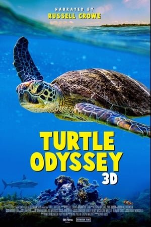 Turtle Odyssey